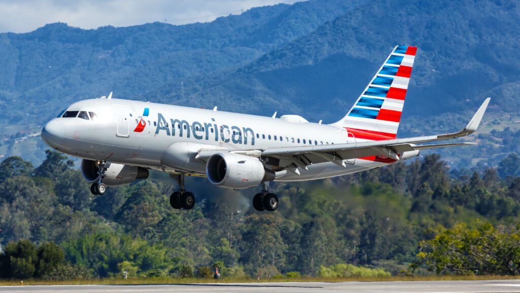 American Airlines Pet Policy Everything You Need to Know Before Flying